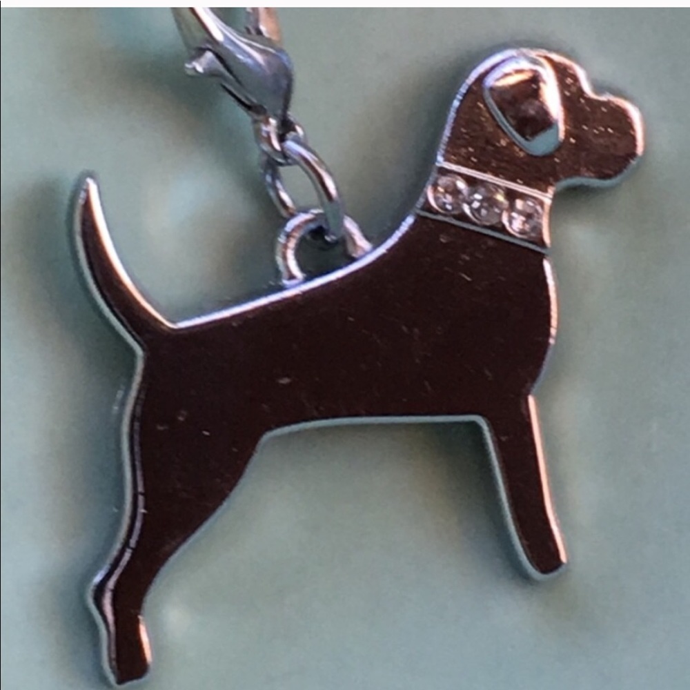 Mastiff, pit bull, Rottweiler, big dog charm